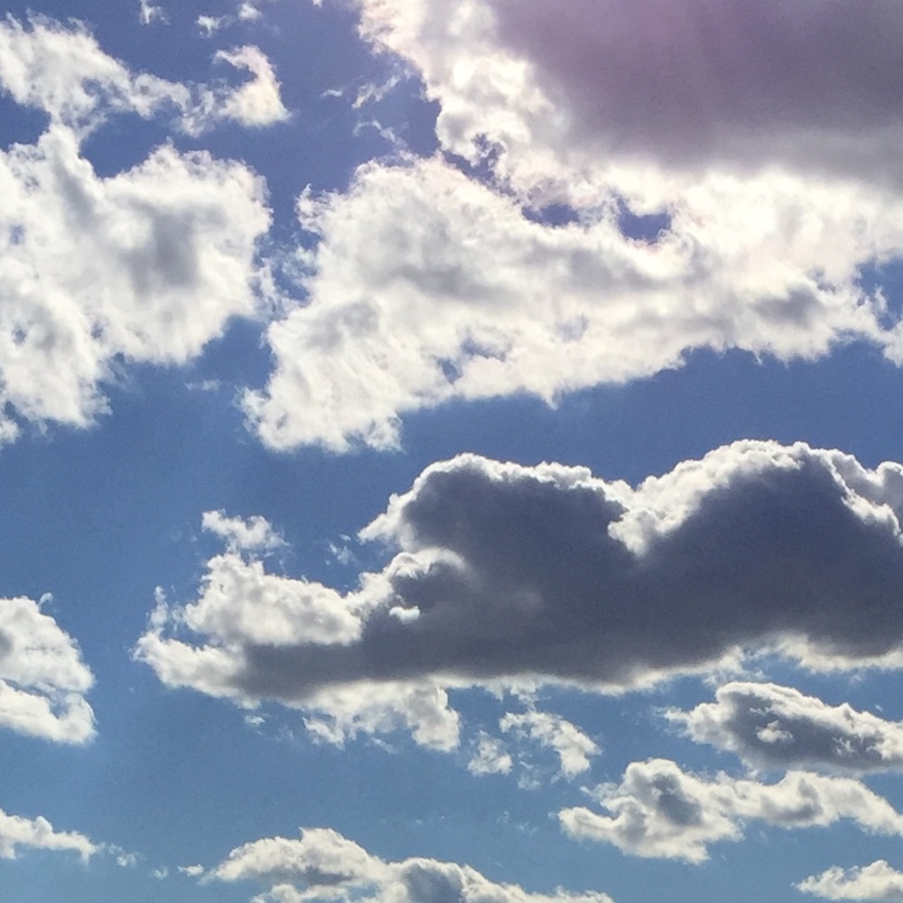 Meet your Posher, Lynsey